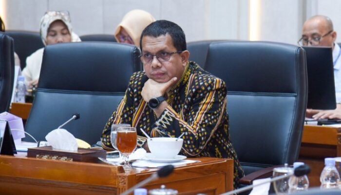 Ramai Hoaks Seputar Nyamuk Wolbachia, Komisi IX: Program Wolbachia Aman Dilakukan