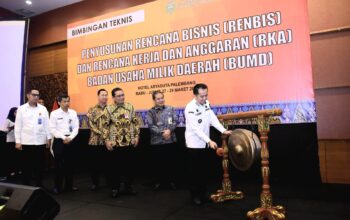 Bimtek Penyusunan Renbis dan RKA BUMD