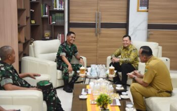 Silaturahmi dengan Pangdam II/Sriwijaya, Pj Gubernur Elen Setiadi Bahas Upaya Antisipasi dan Penanganan Karhutla di Sumsel