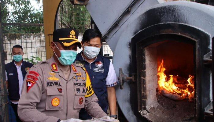 Polres OKU Timur Musnahkan 35Kg Narkotika Jenis Ganja