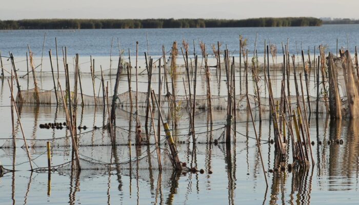 Pagar Laut Ganggu Nelayan, Bukti Mafia Tanah di Wilayah Pesisir