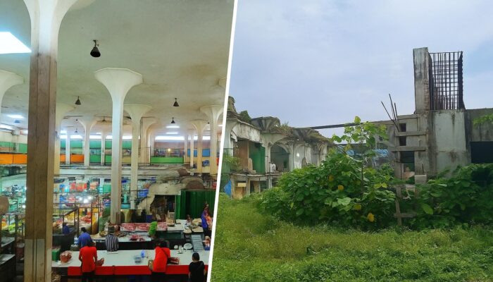 Deputi K MAKI: Dibongkar, Dilupakan, Diperkarakan, Nasib Cinde di Tengah Janji Pelestarian