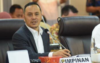 Fenomena Bendera One Piece, DPR: Jangan Gunakan Granat untuk Nyamuk