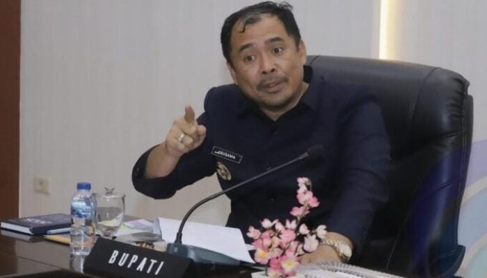 Lima Gajah Liar Masuki Permukiman, Pemkab OKU Selatan Siapkan Langkah Mitigasi