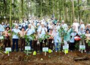 Menyelamatkan Hulu, Menopang Hilir : PLN Nusantara Power Rehabilitasi Lahan Kritis untuk Ekosistem Berkelanjutan