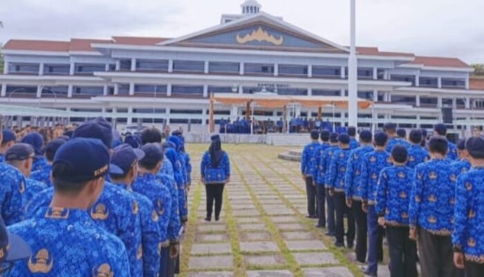 Nama Peserta Lolos Administrasi JPT Pratama Pesisir Barat 2025 Diumumkan