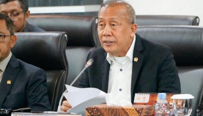 Terkendala Status Hukum, Kayu Gelondongan Pascabanjir Hambat Pemulihan Aceh