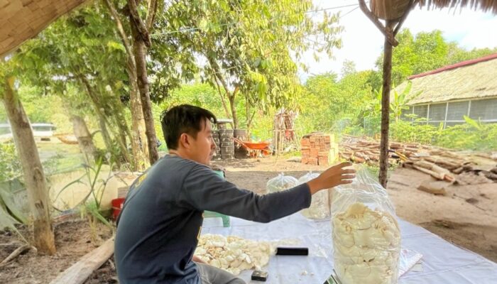 Dukung Ekonomi Sirkular, PLN Indonesia Power UBP Keramasan UP Indralaya Jalankan Program Pemberdayaan Kelompok Jamur Ogan Ilir Sepanjang 2025