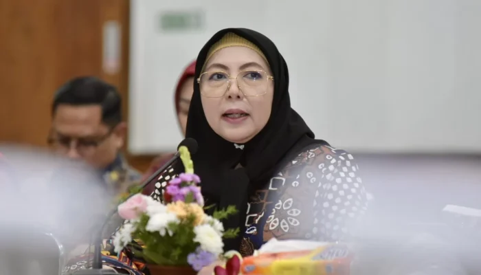 Jelang Sensus Ekonomi 2026, DPR Tekankan Pentingnya Strategi Komunikasi Petugas di Sumsel