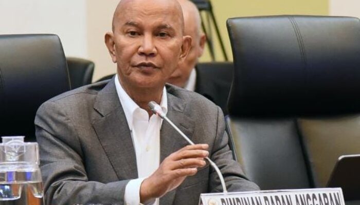 Dinilai Rugikan Industri Nasional, Banggar DPR Tolak Impor 105 Ribu Mobil Niaga dari India