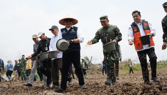Pimpin Tanam Padi Serentak di Banyuasin, Gubernur Herman Deru Perkuat Sumsel sebagai Lumbung Pangan Nasional