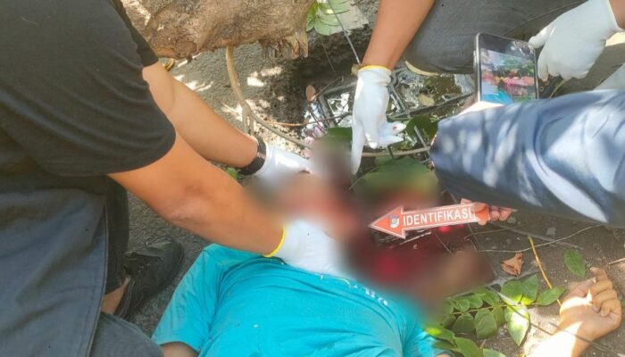 Tragis! Pohon Tumbang di Jalan Kapten A Rivai Palembang Tewaskan Pengendara Ojol