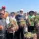 Belajar dari Brebes, Wabup Banyuasin Dorong Peningkatan Produksi Bawang Merah