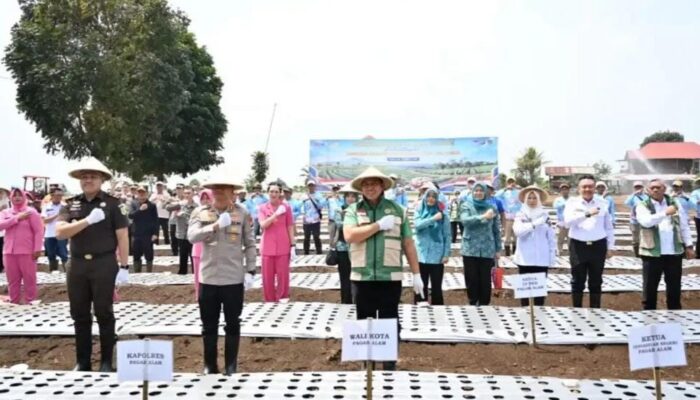 Pagar Alam Dorong Bawang Putih Jadi Penggerak Ekonomi