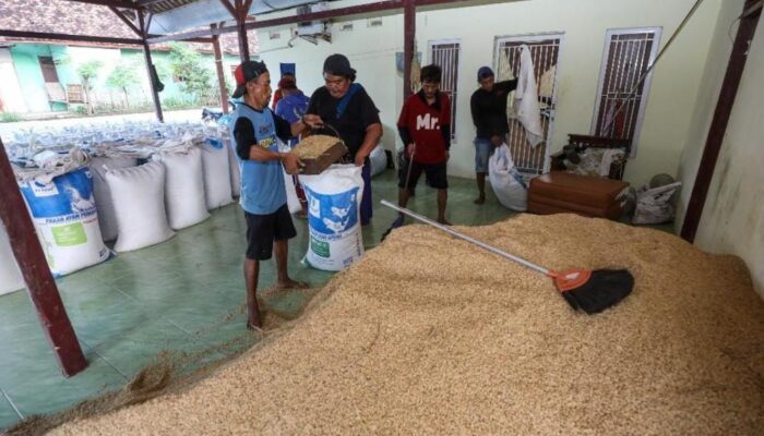 KPPU Bongkar Titik yang Disorot dalam Tata Niaga Beras Sumsel