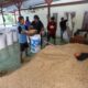 KPPU Bongkar Titik yang Disorot dalam Tata Niaga Beras Sumsel