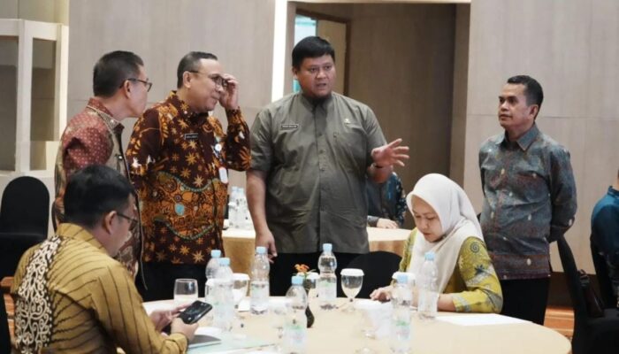 Tak Sekadar Lunasi Tunggakan, Pemda Diminta Jaga Keberlanjutan Program JKN