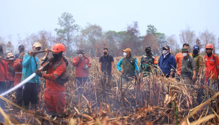 Karhutla di Padang Sugihan, Herman Deru Janjikan Uang Semangat Rp150 Ribu untuk Petugas