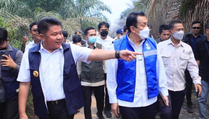 Wamen LH, Herman Deru, dan Ratu Dewa Pantau Karhutla Talang Jambe