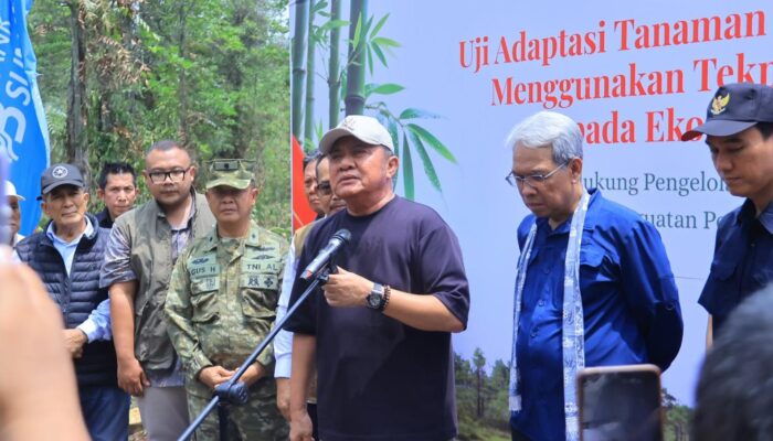 Dua Juta Hektare Gambut Sumsel, Herman Deru Dorong Pengelolaan Berbasis Ekonomi Masyarakat